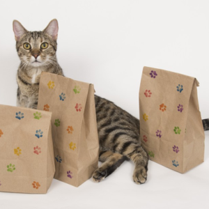 $5 Cat Grab Bag