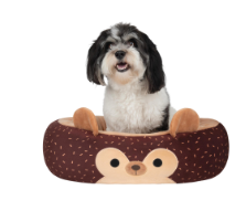 Squishmallow Hans the Hedgehog Bed 20"