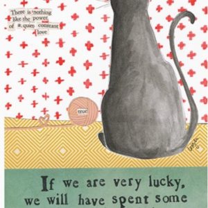 Calypso Cards Sympathy Card Owned By A Cat